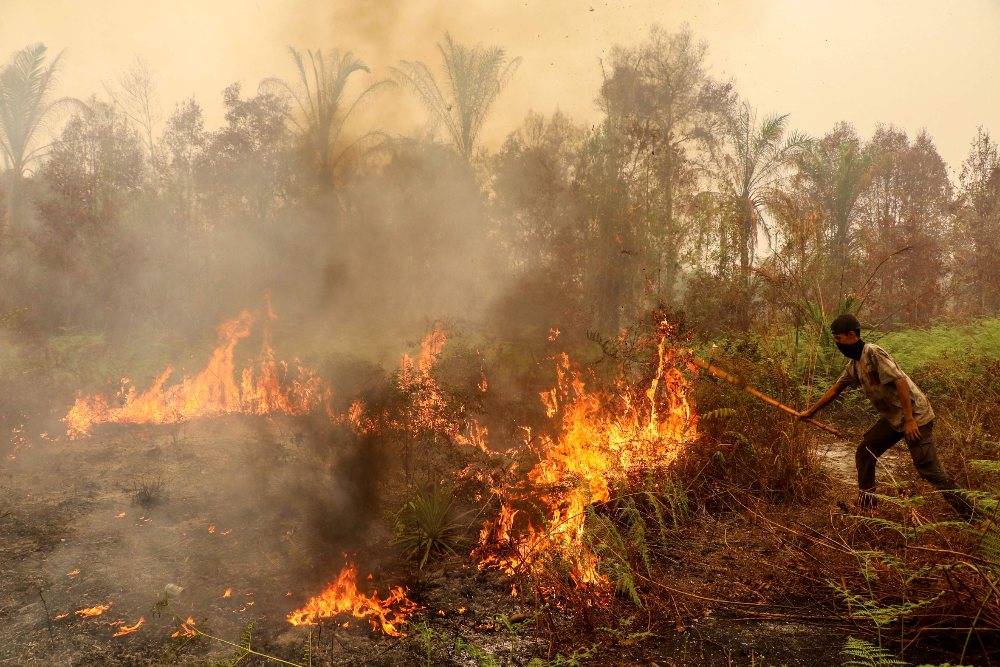 A man uses a stick in an effort to extinguish a wildfire in the Bukit Batu area of Palangkaraya, Central Kalimantan province on Oct 13. AFP FILE PIX