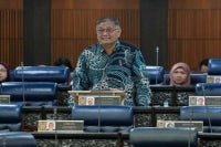 Deputy Home Minister Datuk Seri Shamsul Anuar Nasarah. Photo by Bernama