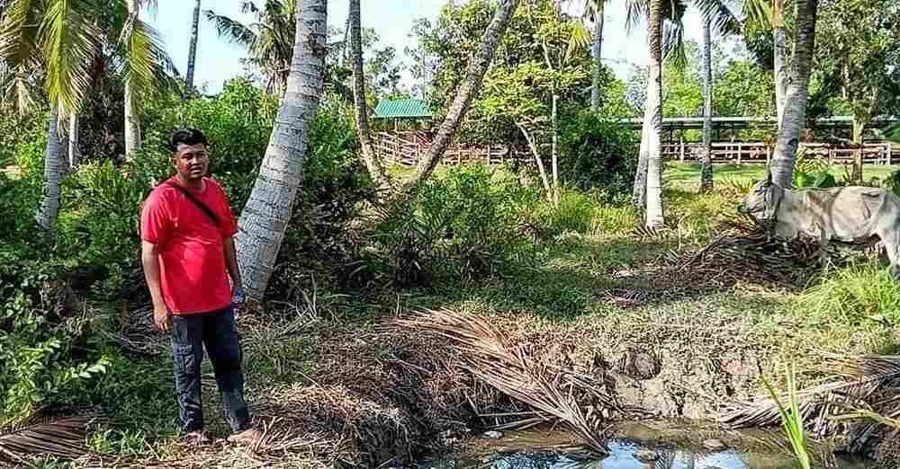 Bapa saudara Muhammad Aidil, Muhamad Hamirudin Jahaya bersama lembu betina yang ditemui dalam kolam terbiar pada malam Rabu.