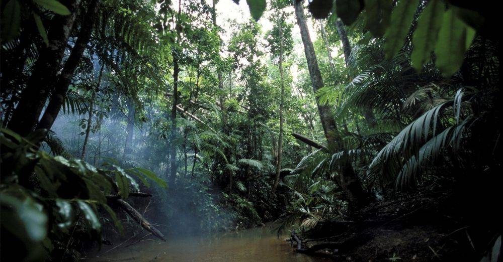 Sekadar gambar hiasan