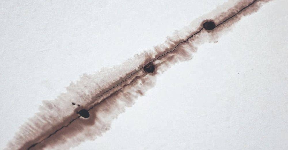 Titisan darah yang menitik menerusi celah rekahan membongkar kematian dua beranak. (Foto : Shin Min Daily News)