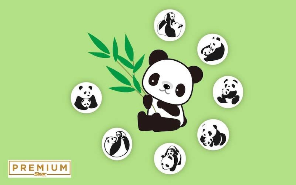 Kelahiran anak panda jantan yang masih belum diberi nama itu menandakan satu lagi kejayaan di bawah Program Kerjasama Antarabangsa Konservasi Panda Gergasi antara Malaysia dan China yang dimeterai pada tahun 2012. 
