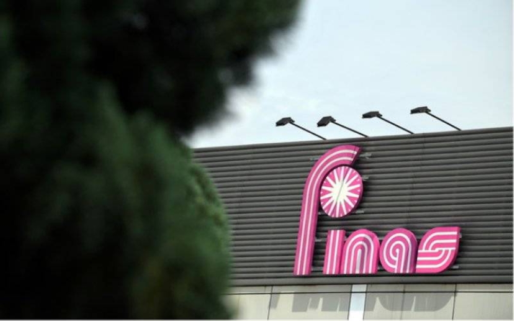 Finas ditubuh pada Julai 1981 di bawah Akta Finas 1981 atau Akta 244 yang dilulus Parlimen.