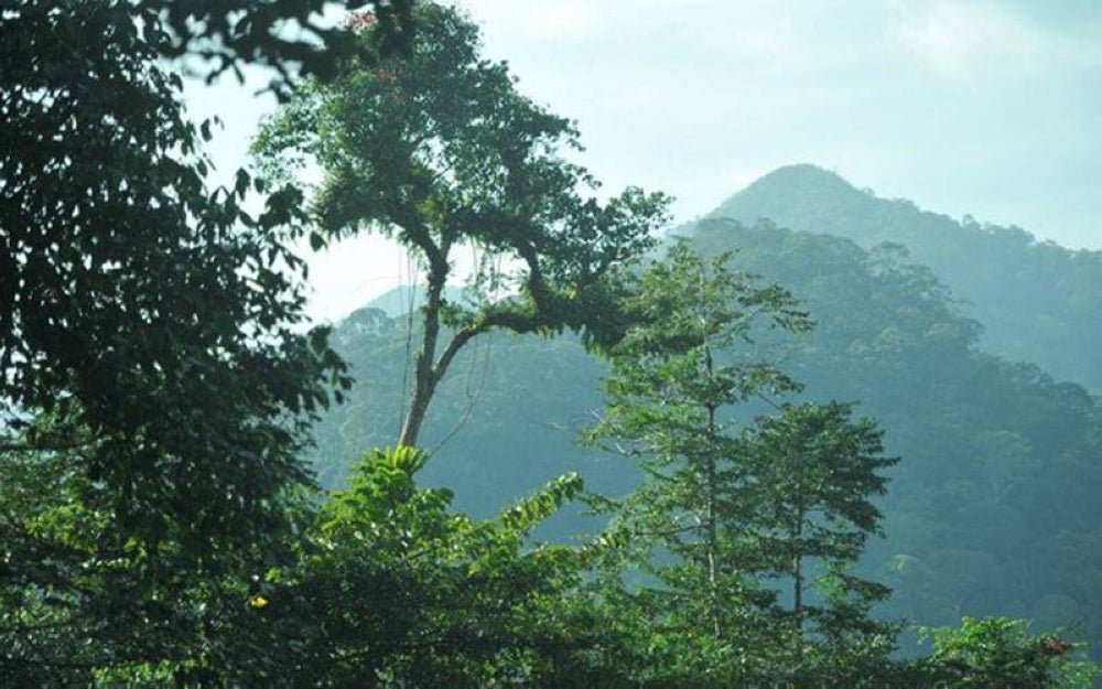 Bahasa perubahan iklim, melindungi alam sekitar dan kelestarian kini sedang berkumandang dalam setiap aspek kehidupan.