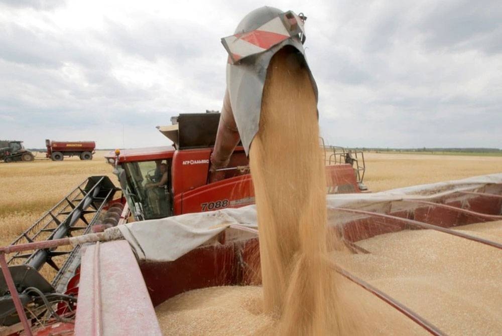 Ukarine merupakan pengeksport keempat terbesar gandum di dunia. - Foto AFP