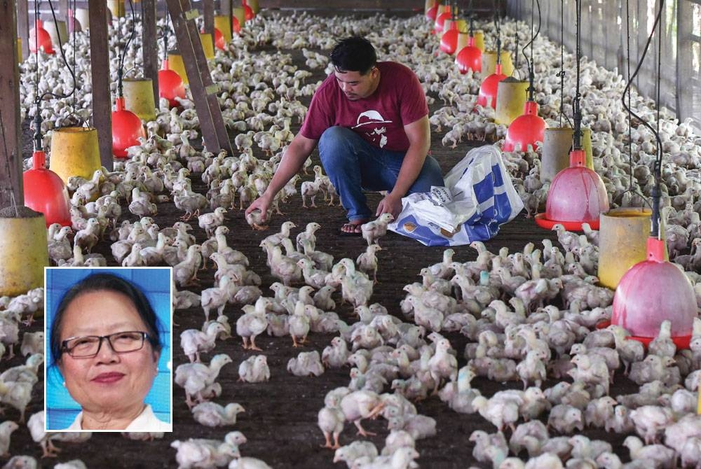 Kerajaan perlu mewujudkan satu mekanisme bagi memastikan bantuan yang mahu disalurkan benar-benar sampai kepada golongan sasaran. Gambar kecil: Madeline