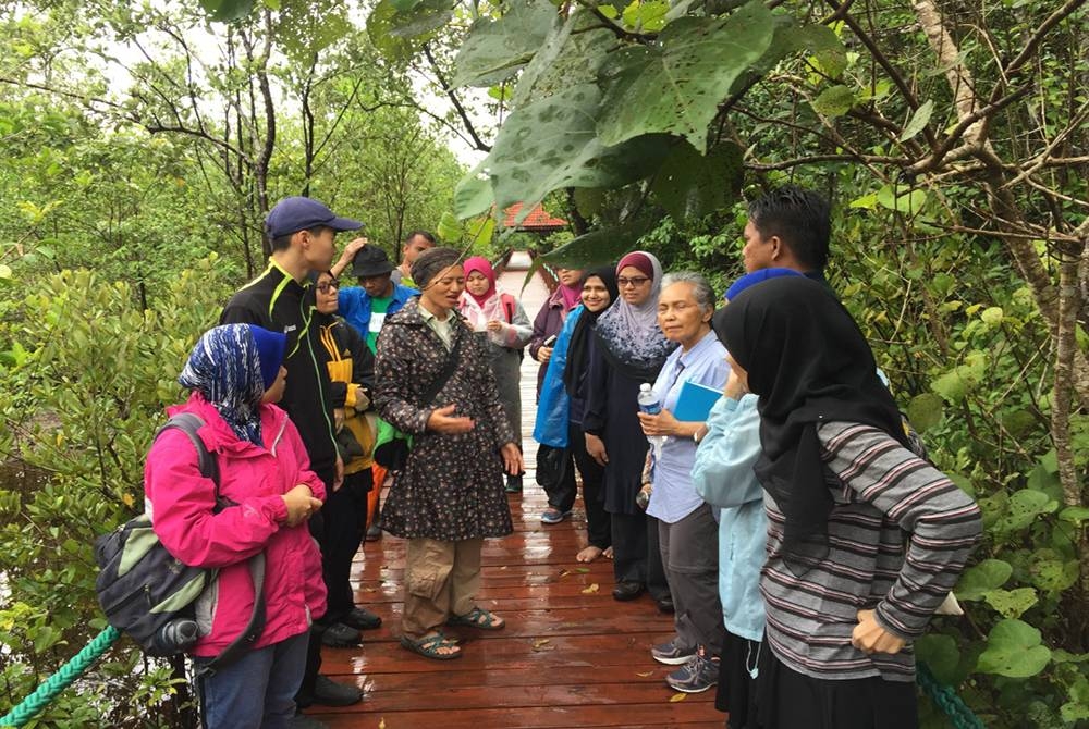 Jarina (tengah) memberi penerangan mengenai hutan bakau ketika membuat tinjauan di Setiu Wetlands, Setiu, Terengganu.