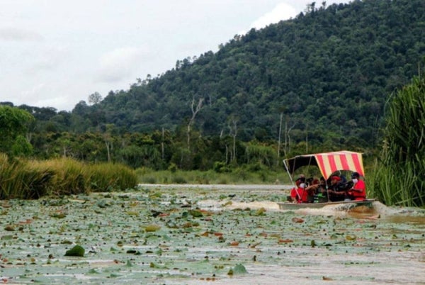 Tasik semula jadi kedua terbesar di Malaysia selepas Tasik Bera ini dahulu sinonim dengan bunga teratai memenuhi permukaannya.