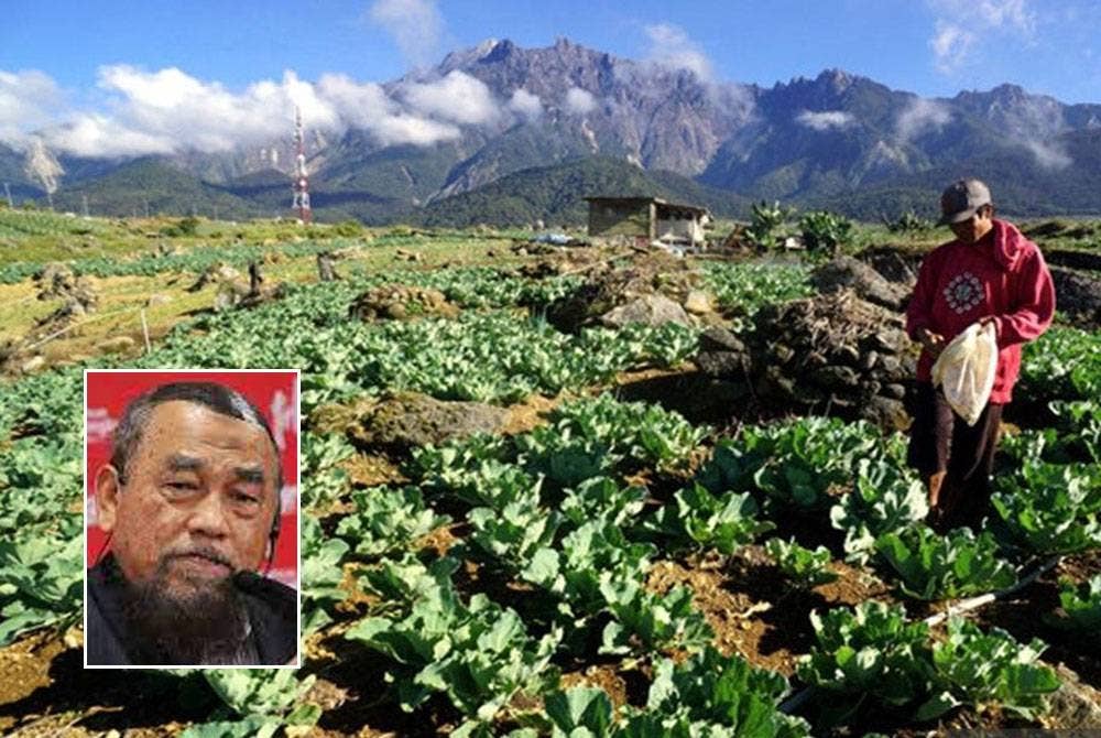 Orang ramai disaran berusaha bersama-sama dalam menjayakan pelan sekuriti makanan seperti mula menanam sayur-sayuran serta buah-buahan sendiri di halaman rumah. (Gambar kecil: Barjoyai)