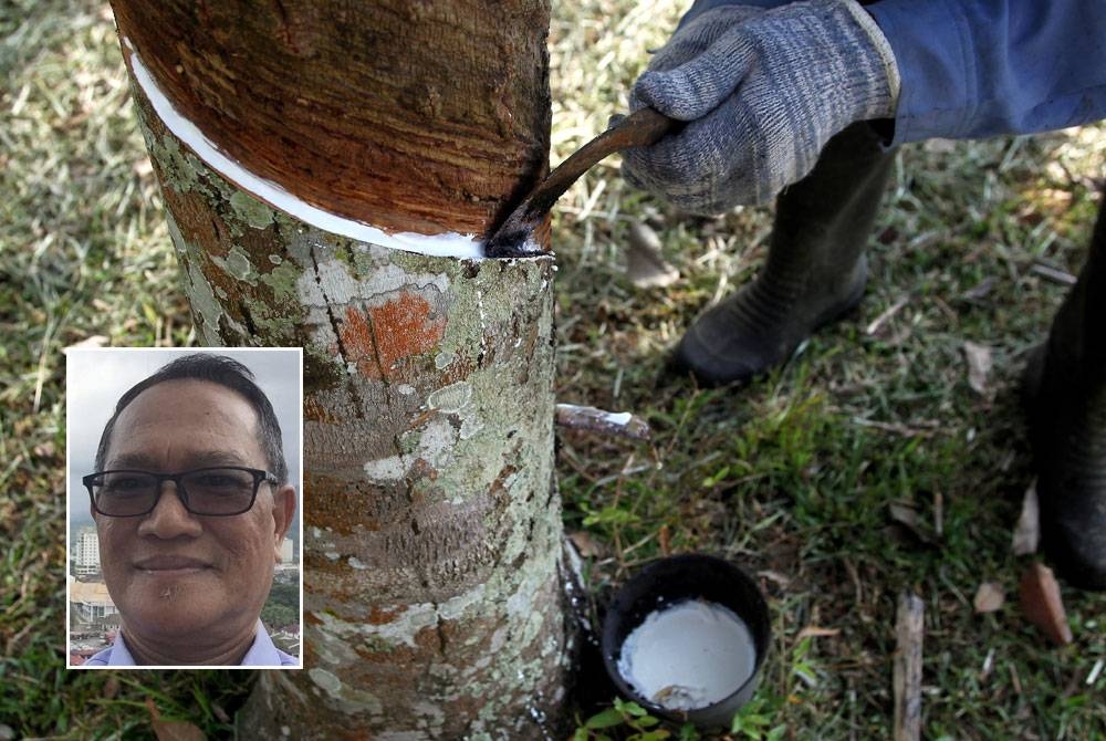 Ramai penoreh memilih kenaikan harga lantai getah sekerap berbanding lanjut bantuan musim tengkujuh. Gambar kecil: Amran
