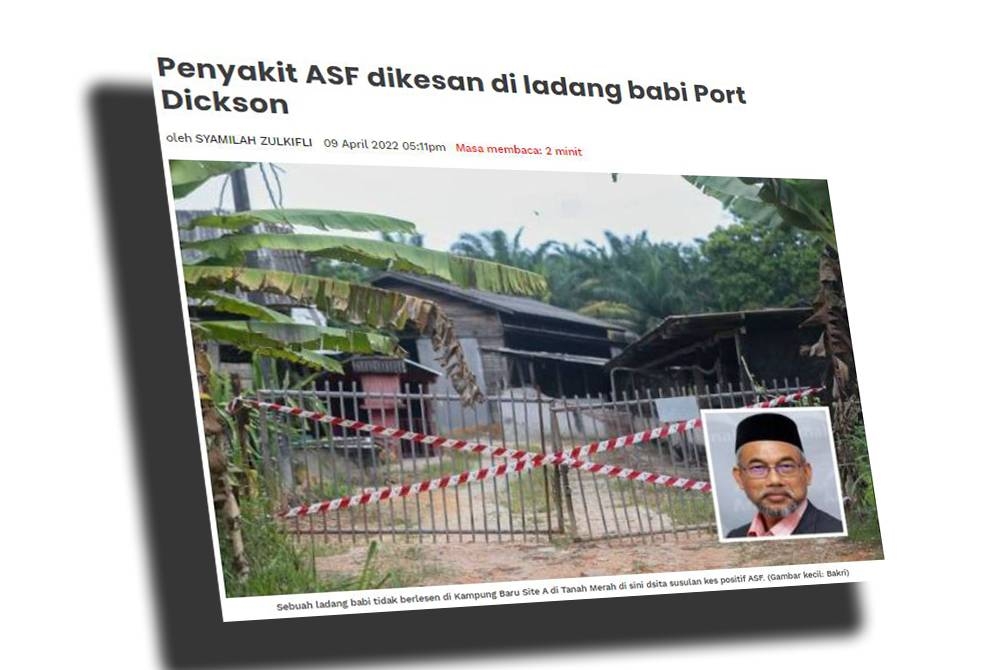 Jabatan Veterinar Negeri Sembilan mengesan penyakit demam babi Afrika di sebuah ladang babi tidak berlesen di Kampung Baru Site A, Lukut, April lalu.