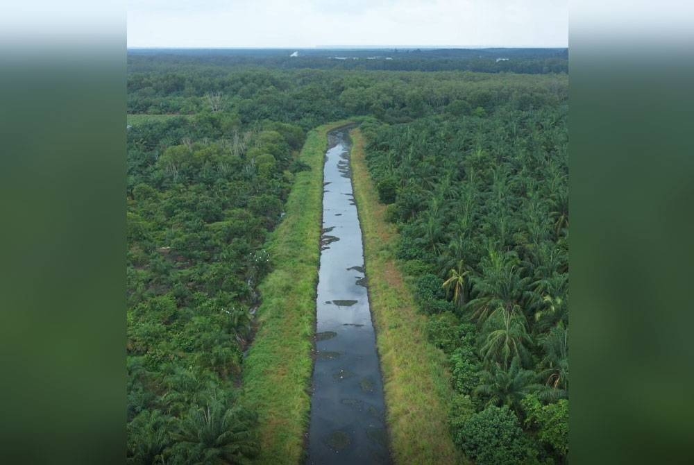 Pemandangan dari udara memperlihatkan Sungai Rambai berwarna hitam.