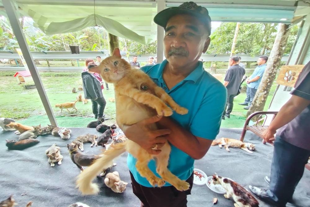Mohd Hashim sanggup 'bergolok-bergadai' demi membiayai makanan dan keperluan ratusan kucing kesayangannya.