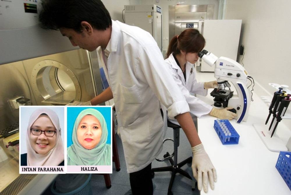 Kerajaan disaran memberi penajaan bersasar kepada pelajar jurusan kritikal termasuk pendidikan dan perubatan.