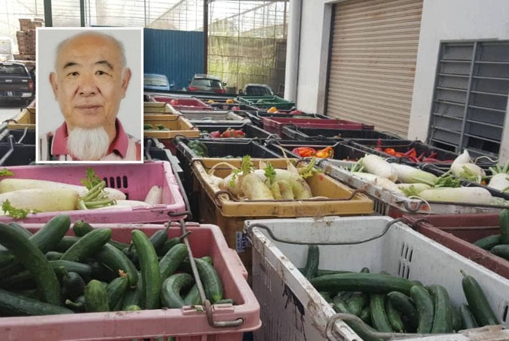 Pengeluaran sayur meningkat dua kali ganda sehingga berlakunya lebihan dan terbuang tanpa dijual. - Gambar hiasan (Gambar kecil: Ee Mong)