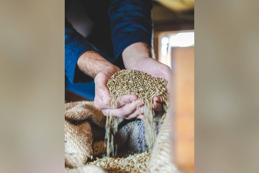 Gambar hiasan - Foto 123RF