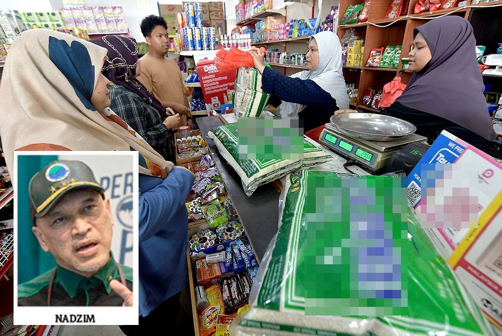 Nadzim menyarankan kerajaan menubuhkan pasukan petugas khas dan diletakkan di bawah JPM agar mereka boleh memantau, menyiasat dan mengambil tindakan yang sewajarnya.