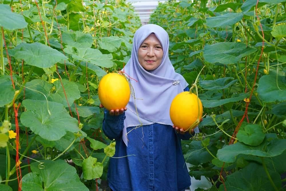 Azlida bersama sun melon yang sudah dipetik.
