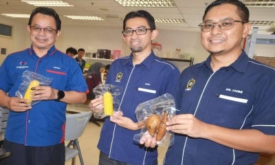 Dekan Fakulti Biosumber dan Industri Makanan Universiti Sultan Zainal Abidin (UniSZA), Prof Dr Hafizan Juahir (kiri) bersama Timbalan Dekan Penyelidikan dan Pembangunan Fakulti Biosumber dan Industri Makanan, Dr Mohd Fahmin Abu Bakar (kanan) dan Pensyarah Pusat Pengajian Industri Makanan Dr Wan Mohd Fadli Wan Mokthar menunjukkan hasil pertanian seperti jagung dan keledek siap makan yang dihasilkan di Dapur Komuniti, UniSZA Kampus Tembila.
Dapur Komuniti yang ditubuhkan oleh Fakulti Biosumber dan Industri Makanan, UniSZA adalah antara inisiatif pusat pengajian tinggi berkenaan dalam membantu menyelesaikan masalah lambakan hasil pertanian, terutama di sekitar Besut.
