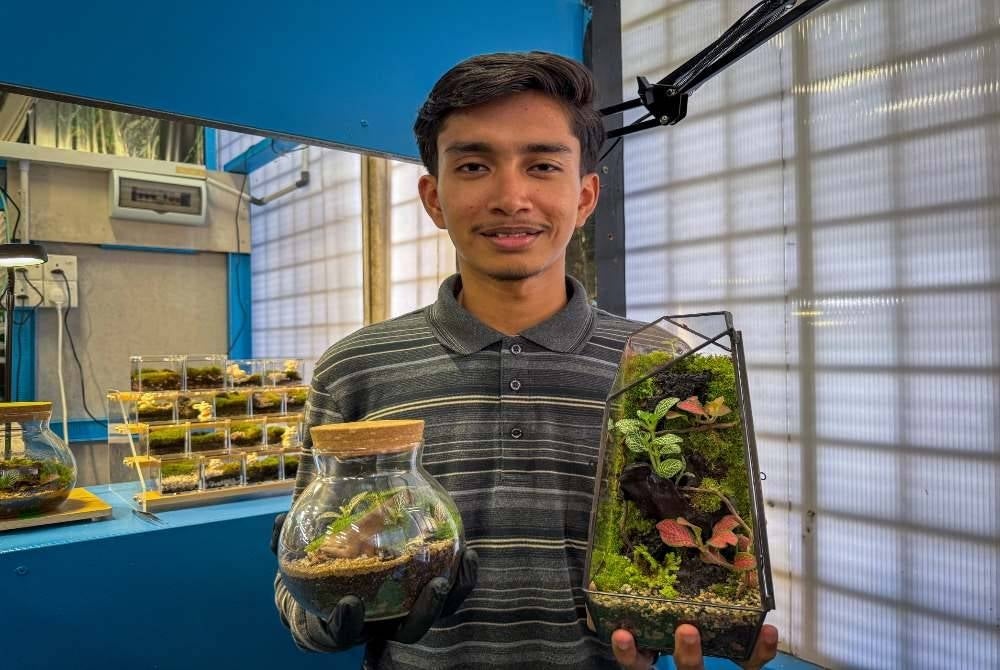 Tumbuhan seperti fittonia, paku pakis dan bonsai digunakan untuk menghias terrarium bagi menghasilkan landskap seperti gaya hutan, diorama, Jepun atau Iwagumi. Foto Bernama
