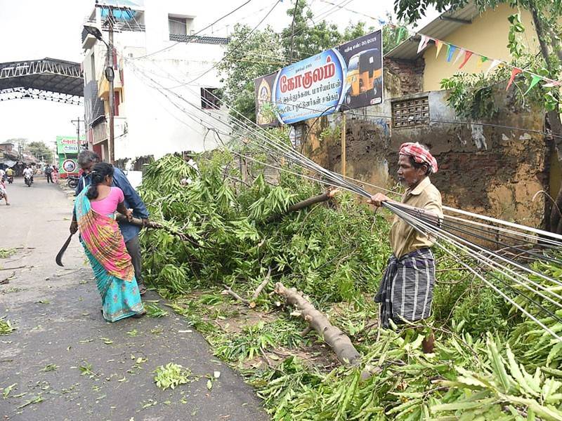 Penduduk mengalihkan pokok yang tumbang akibat angin kencang dibawa Gaja.