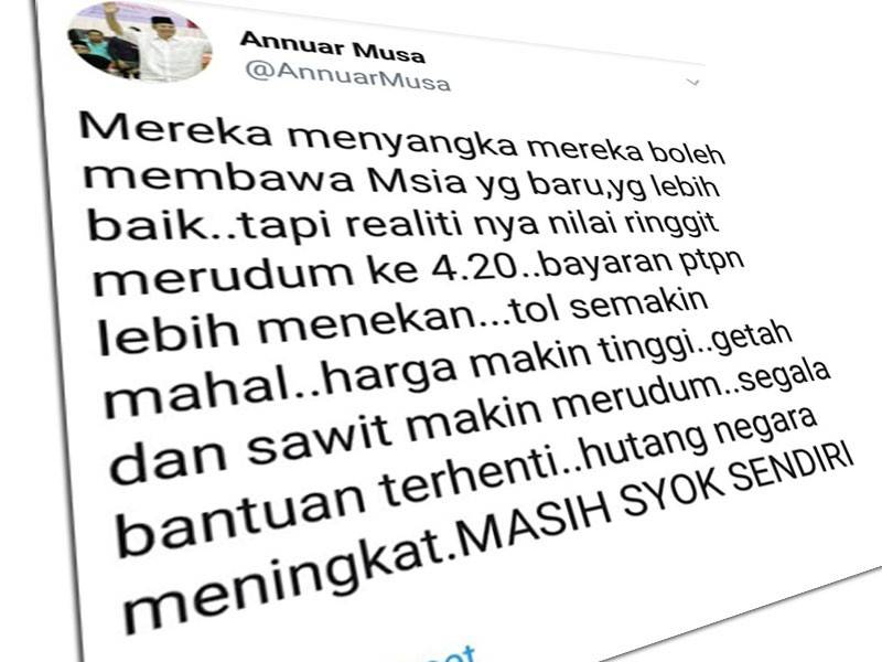 Paparan Twitter Annuar