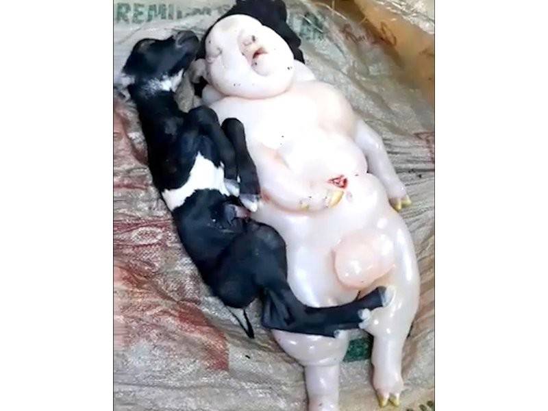 Ia bagaimanapun mati sejurus dilahirkan.