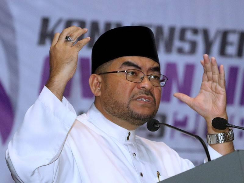 Mujahid Yusof Rawa - Foto Bernama