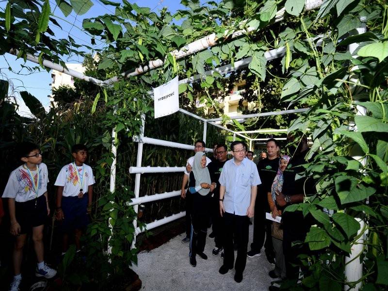 Lim Guan Eng melawat program 'Smart Green Community' di tapak pertanian dalam bandar Lebuh Padang Tembak, Air Itam selepas merasmikan program berkenaan, hari ini. - Foto Bernama