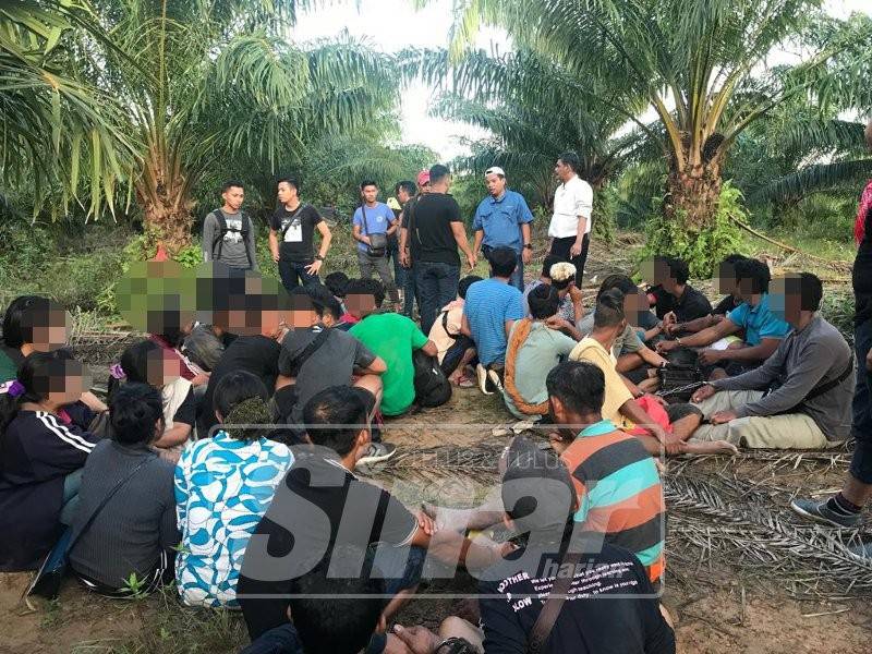 Pati yang ditahan dalam operasi petang semalam.