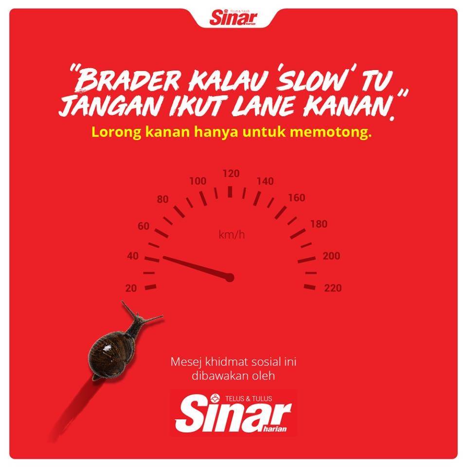 49211020_10157228681309883_3206944967733805056_n