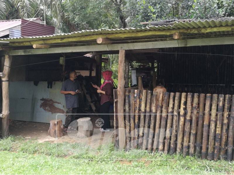 Penggunaan buluh sebagai dinding menampakkan lagi elemen 'rare' pada bengkel.