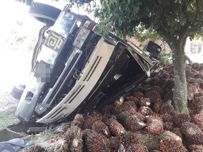 Sebuah lori sarat muatan buah kelapa sawit terbalik selepas terbabas di Jalan Chin Chin di sini, hari ini.
