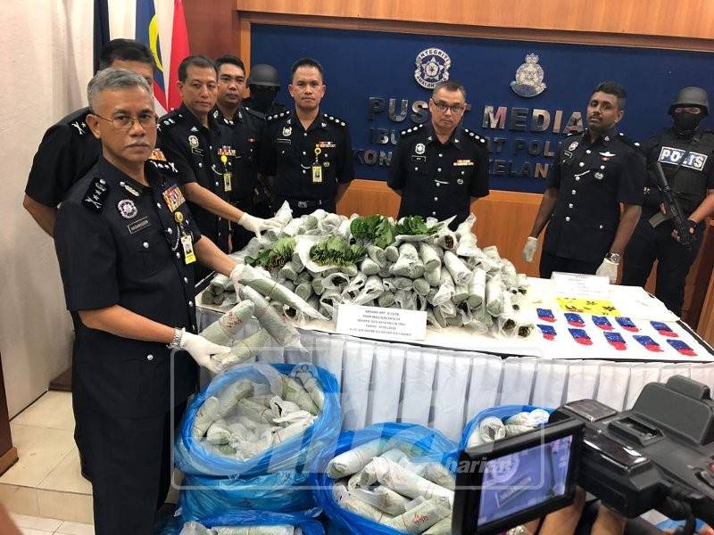 Hasanuddin (kiri) menunjukkan daun ketum yang dirampas pasukan serbuan semalam.