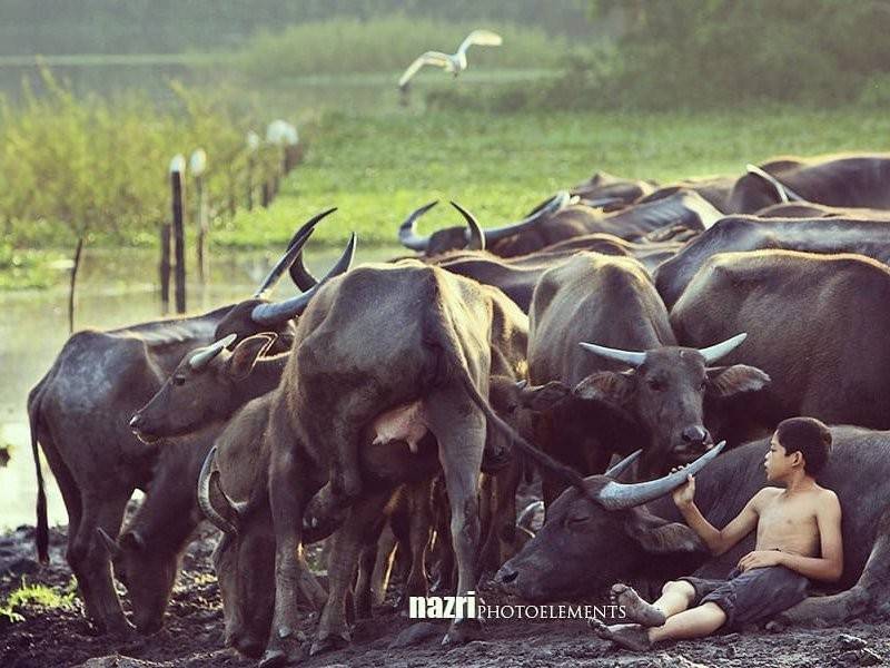 Antara gambar yang dikongsi Nazri Sulaiman.