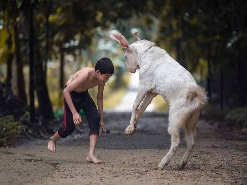 Foto:Facebook Syukor Khamis - Kampung Boy. 