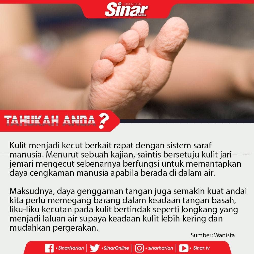 tahukah-anda-kulit-kecut