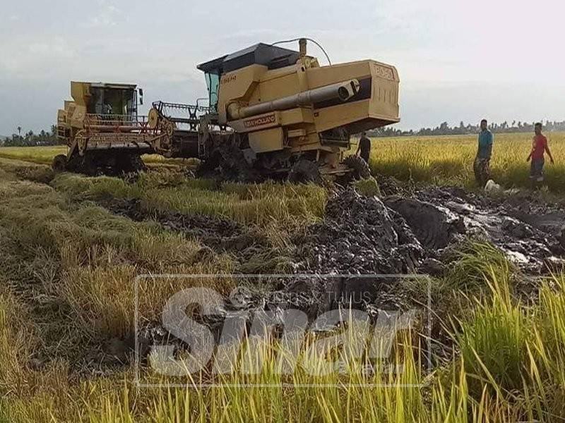 Keadaan tanah jerlus menyukarkan jentera beroperasi.
