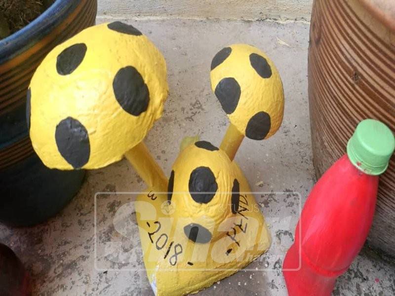 Projek itu telah menjana keuntungan jualan RM700, bagi produk hiasan berupa cendawan, ladybird dan lolipop.

