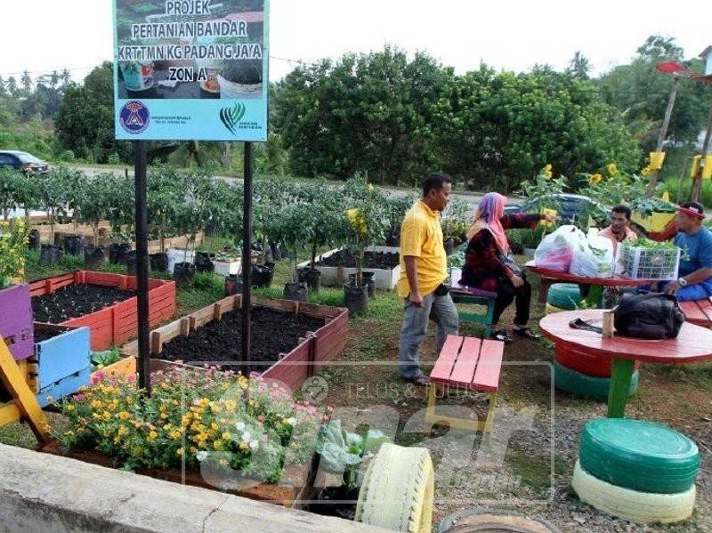 Persekitaran kebun yang meghijau boleh menjadi contoh kepada penduduk lain.