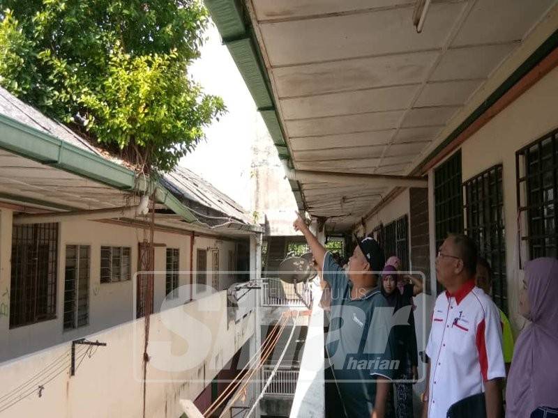 Pokok tumbuh di atas bumbung kerana tiada penyelenggaraan.