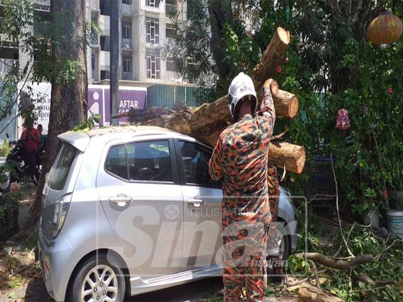 Pokok tumbang, Perodua Axia ranap