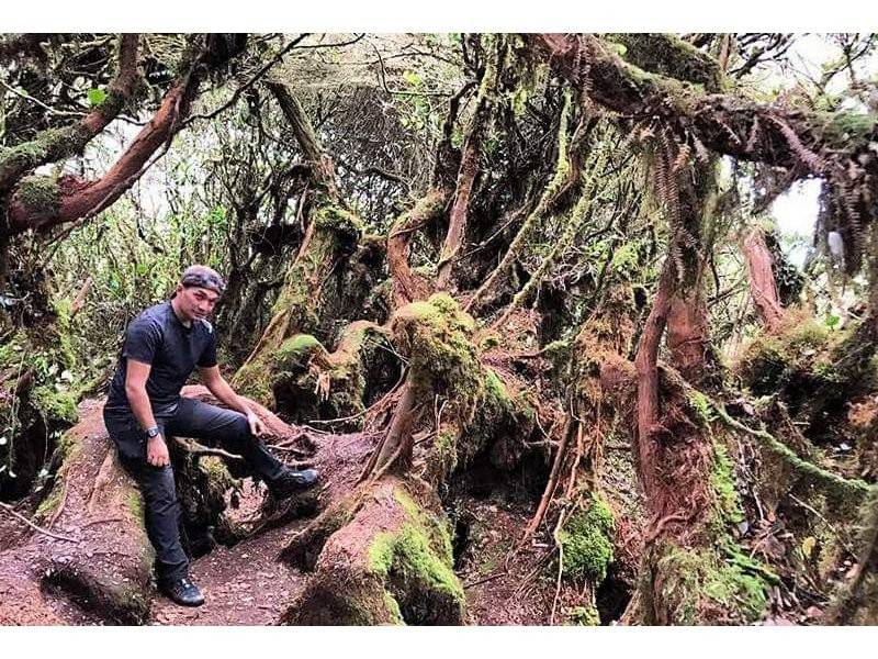Keindahan Mossy Forest mendapat perhatian pendaki