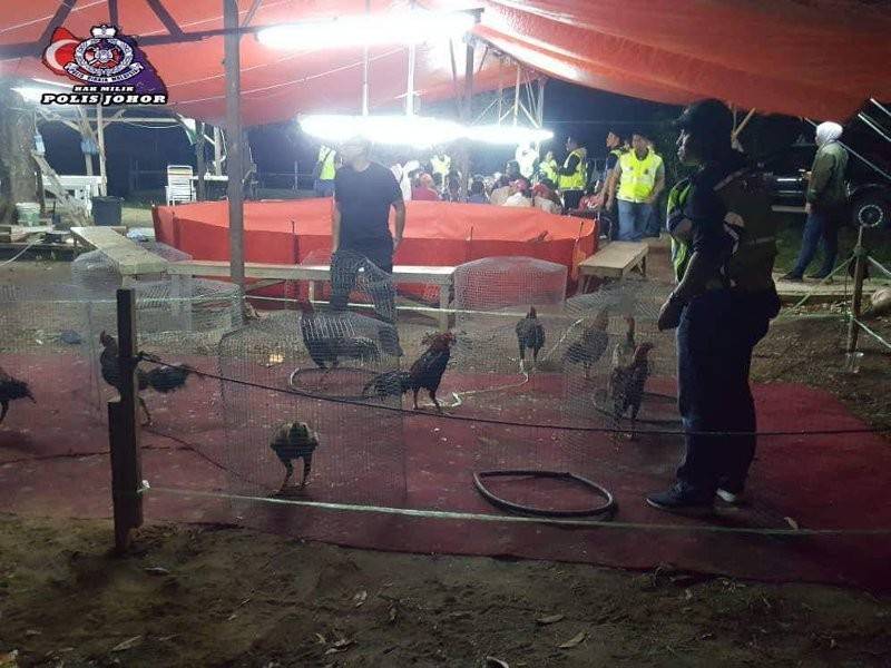Kawasan itu turut menjadikan sabung ayam sebagai perjudian.