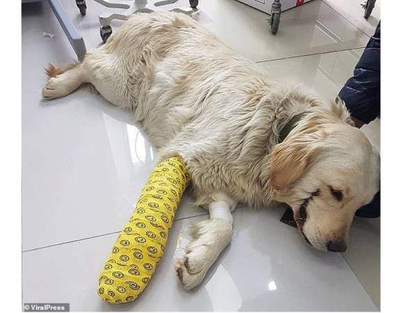 Bobby ditemukan dalam keadaan bahagian tepi mulutnya dikelar seperti watak Joker dalam filem Batman: The Dark Knight.