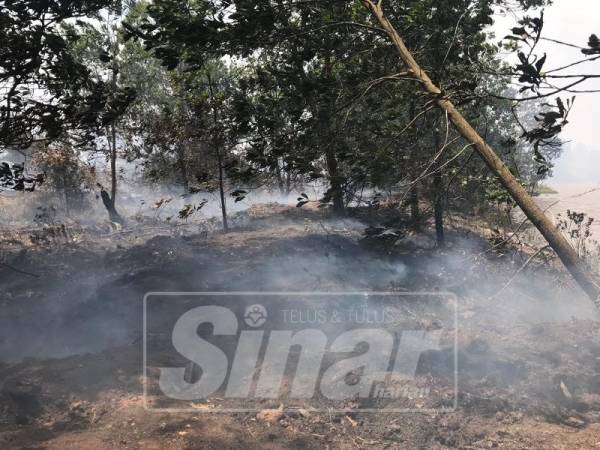 40 hektar hutan kawasan perindustrian Gebeng terbakar.