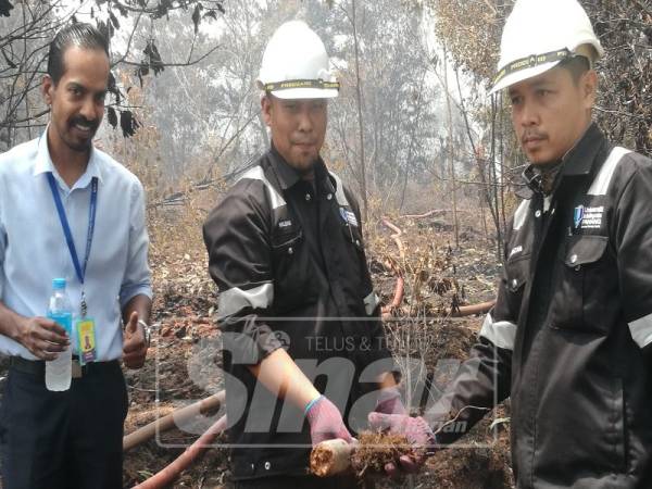 
Mengambil sampel tanah gambut dari kawasan kebakaran di Gebeng.