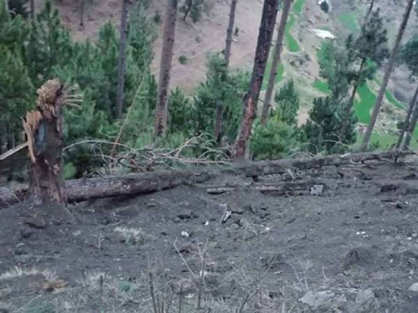 Serangan itu hanya memusnahkan beberapa pokok pain.