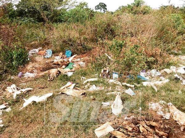 Tulang dan kulit haiwan dipercayai dibuang di kawasan tersebut.