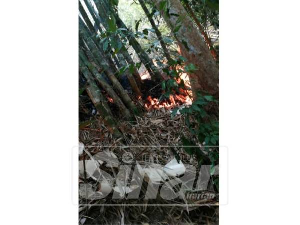 Keadaan api marak ketika anggota tiba di lokasi.